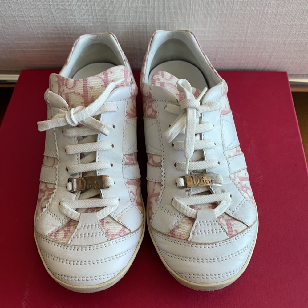 Dior sneakers